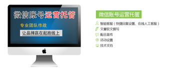 专业微信运营与网站建设服务 金明科技助力企业互联网品牌成长